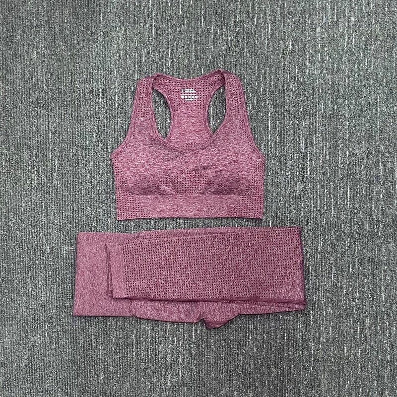 Women's Seamless Fitness Clothing Set Women's Seamless Fitness Clothing Set