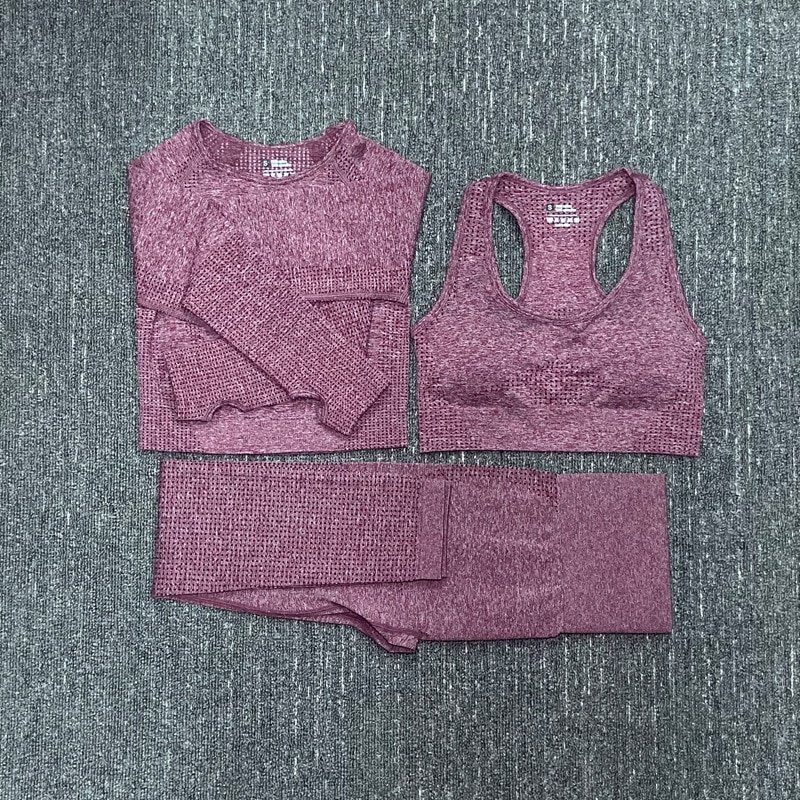 Women's Seamless Fitness Clothing Set Women's Seamless Fitness Clothing Set