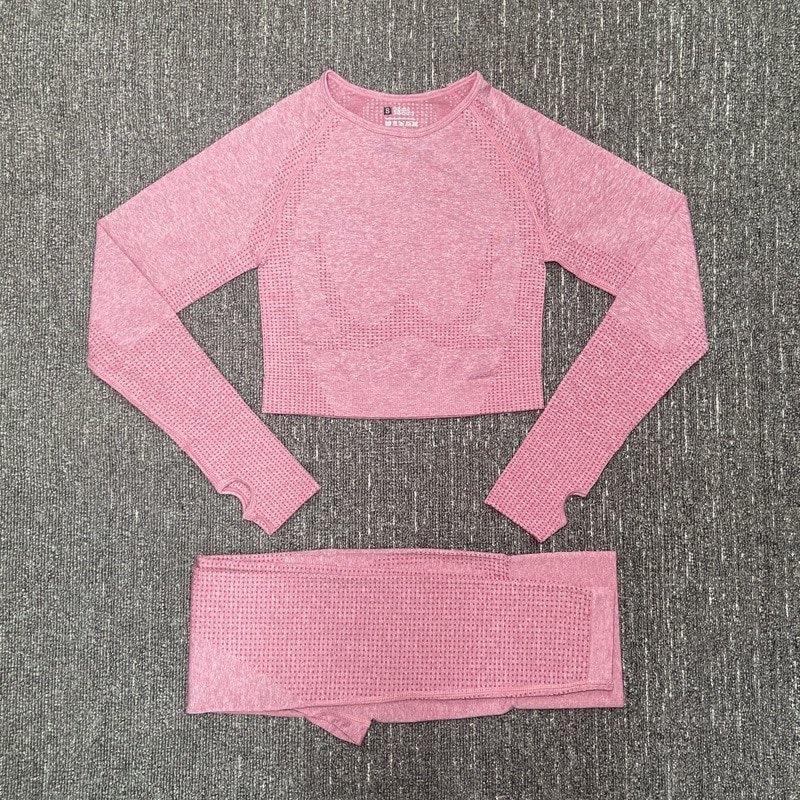 Women's Seamless Fitness Clothing Set Women's Seamless Fitness Clothing Set