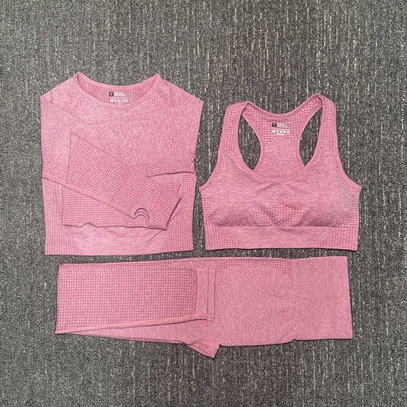 Women's Seamless Fitness Clothing Set Women's Seamless Fitness Clothing Set