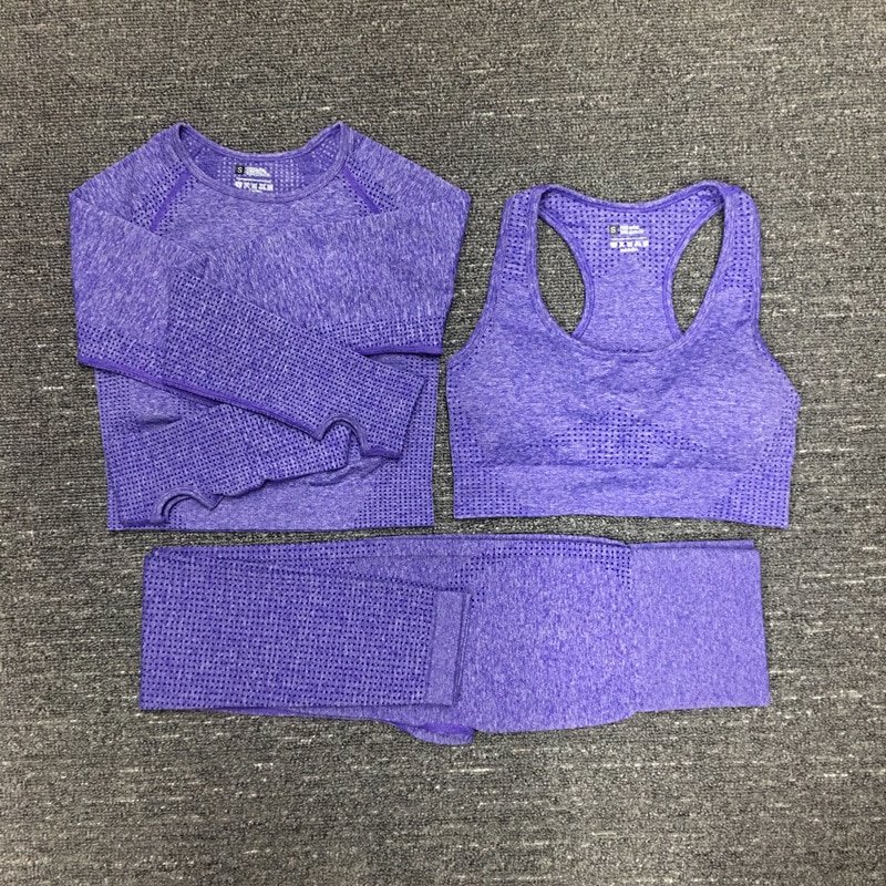 Women's Seamless Fitness Clothing Set Women's Seamless Fitness Clothing Set