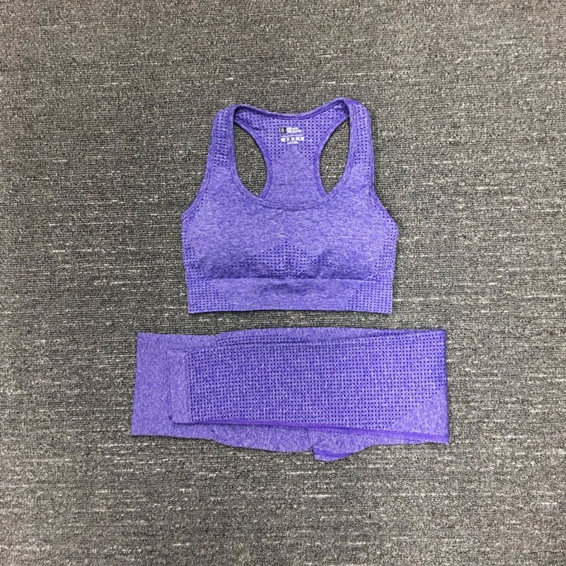 Women's Seamless Fitness Clothing Set Women's Seamless Fitness Clothing Set