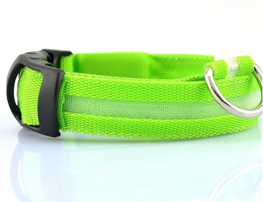 Dogs Nylon LED Collar