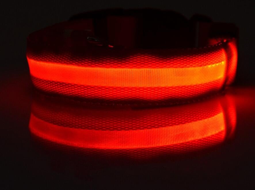 Dogs Nylon LED Collar