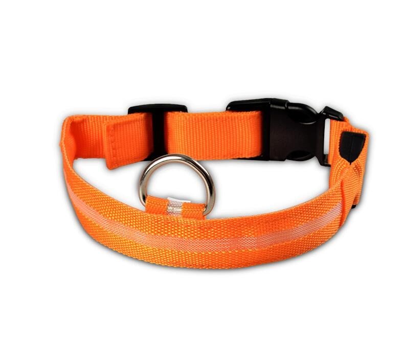 Dogs Nylon LED Collar