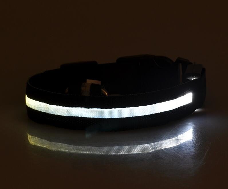 Dogs Nylon LED Collar