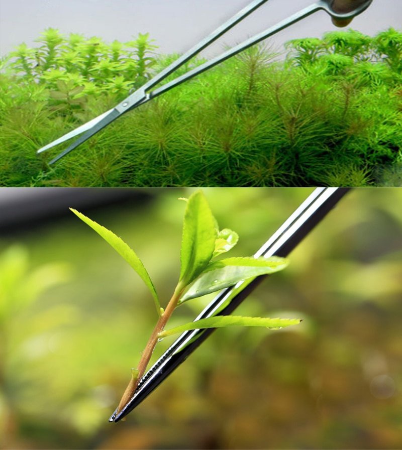 Aquarium Cleaning Tools Set Aquarium Cleaning Tools Set