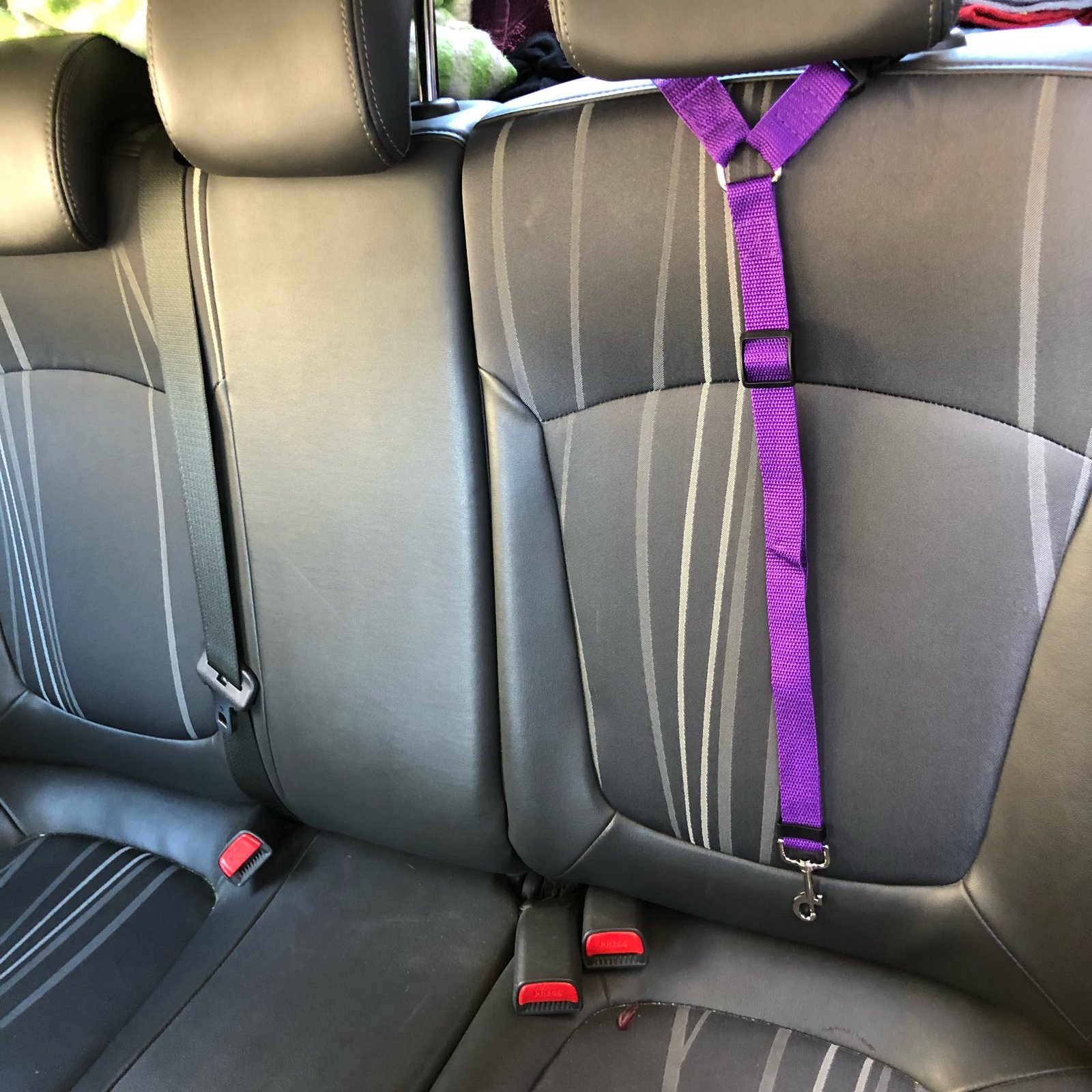 Solid Color Two-in-one Pet Car Seat Belt Nylon Lead Leash Backseat Safety Belt Adjustable Dogs Harness Collar Pet Accessories Solid Color Two-in-one Pet Car Seat Belt Nylon Lead Leash Backseat Safety Belt Adjustable Dogs Harness Collar Pet Accessories