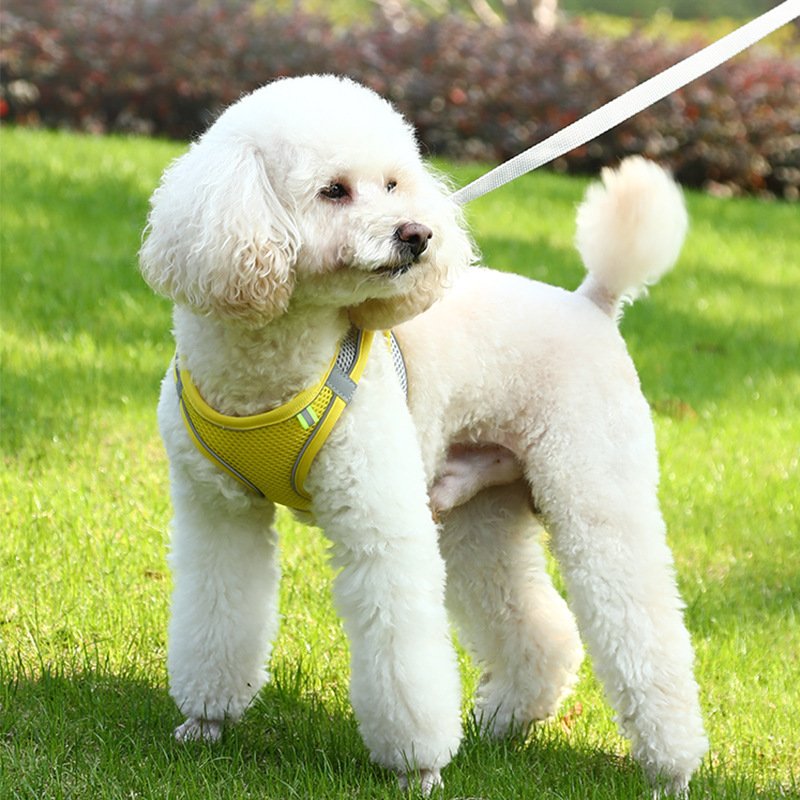 Dog Harness Vest with Leash For Small Dogs Adjustable Pet Chest Strap Dog Cat Collars Outdoor Walking Lead Leashes XXS-L Harness Dog Harness Vest with Leash For Small Dogs Adjustable Pet Chest Strap Dog Cat Collars Outdoor Walking Lead Leashes XXS-L Harness