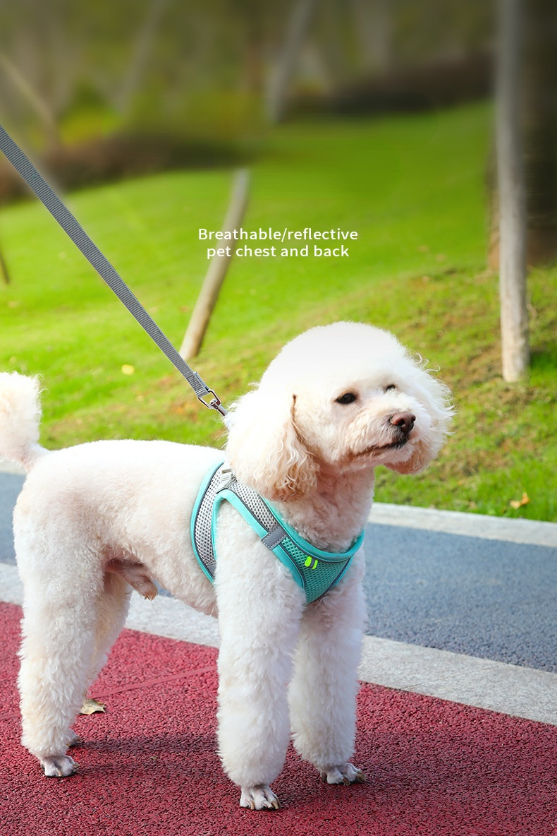 Dog Harness Vest with Leash For Small Dogs Adjustable Pet Chest Strap Dog Cat Collars Outdoor Walking Lead Leashes XXS-L Harness Dog Harness Vest with Leash For Small Dogs Adjustable Pet Chest Strap Dog Cat Collars Outdoor Walking Lead Leashes XXS-L Harness