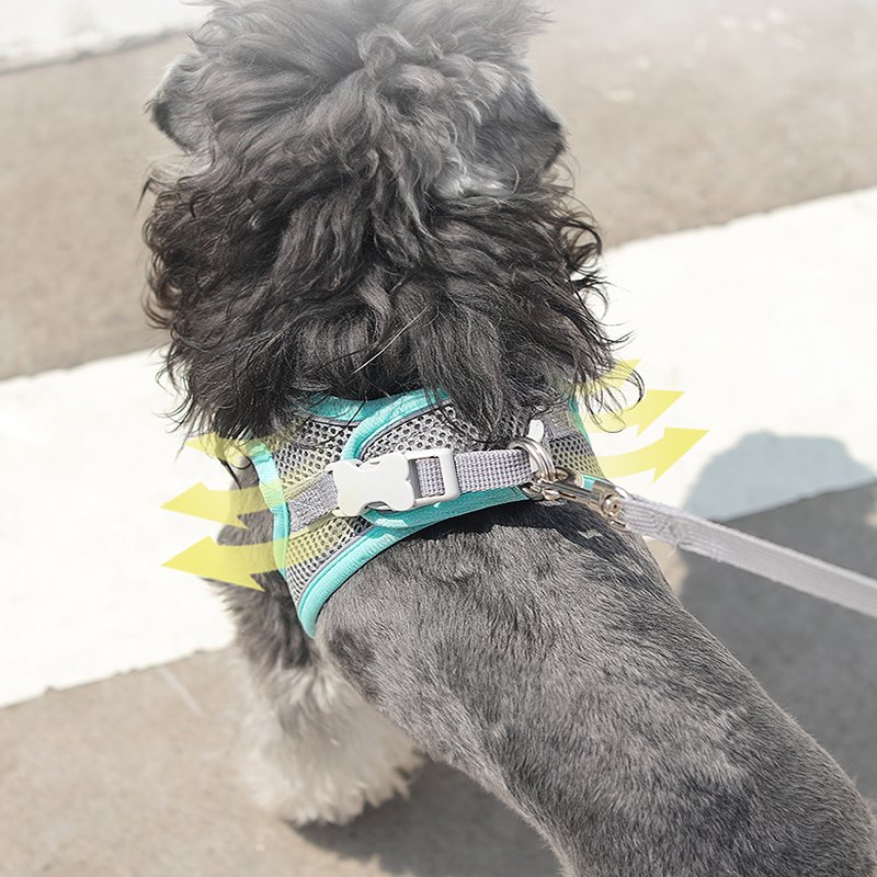 Kimpets Dog Harness Clothes Vest Chest Cat Collars Rope Small Dogs Reflective Breathable Adjustable Outdoor Walking Pet Supplies Kimpets Dog Harness Clothes Vest Chest Cat Collars Rope Small Dogs Reflective Breathable Adjustable Outdoor Walking Pet Supplies