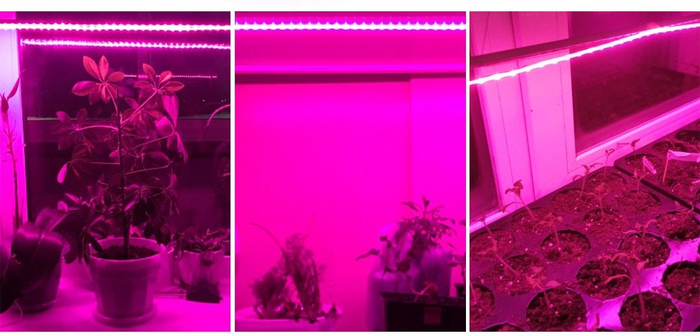 Hydroponics LED Strip Light Hydroponics LED Strip Light