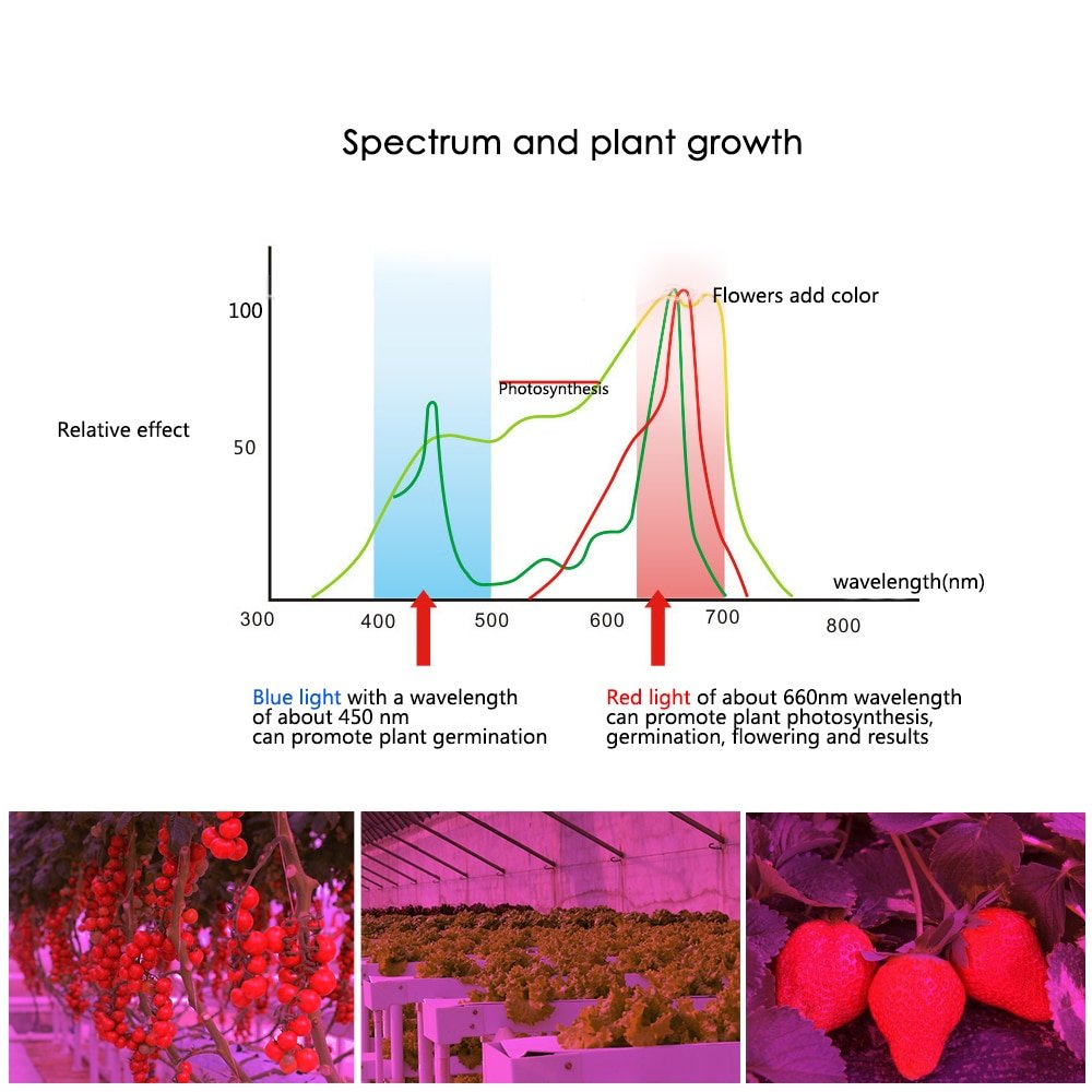 Full Spectrum LED Bulb for Plant Growth Full Spectrum LED Bulb for Plant Growth