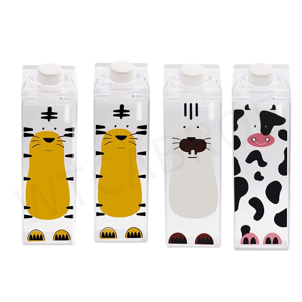 Creative Transparent Water Bottle